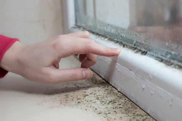 Best Mold-Related Health Consultation  in Liberty, NC